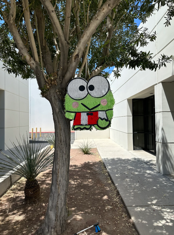 Custom Piñata