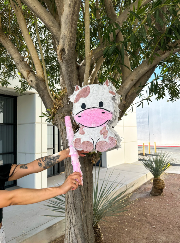 Custom Piñata