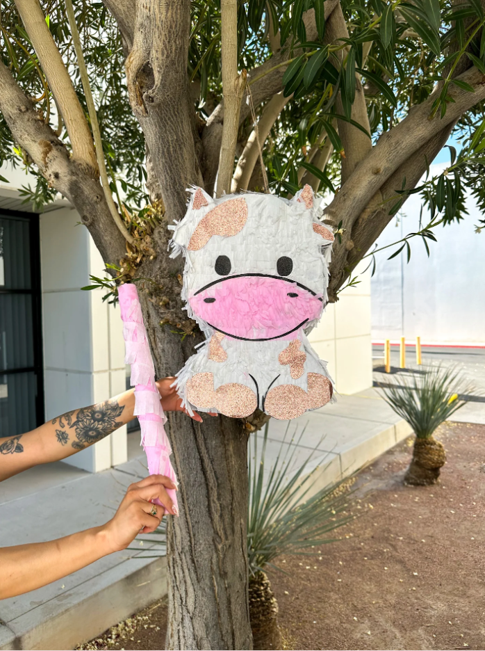 Custom Piñata